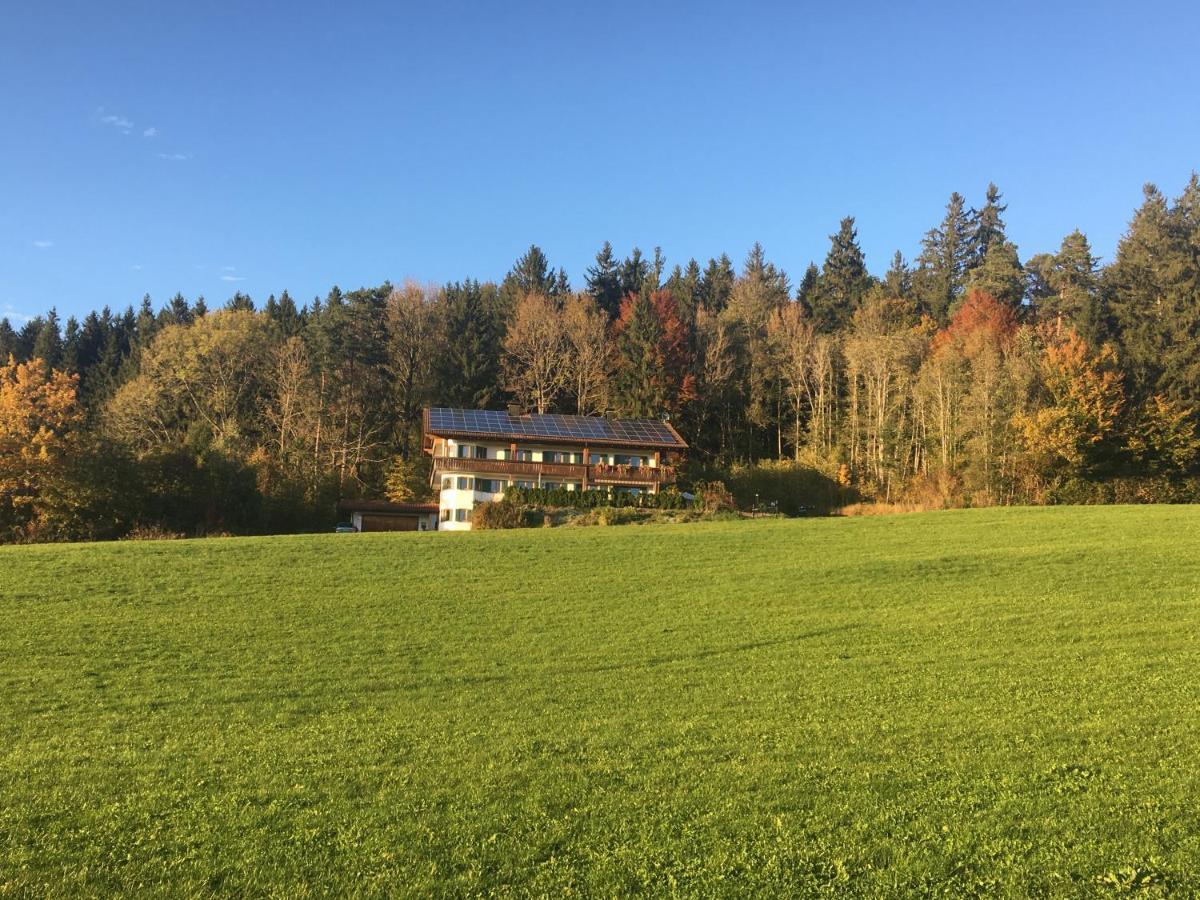 FriesenriedFerienhaus Am Wald公寓 外观 照片