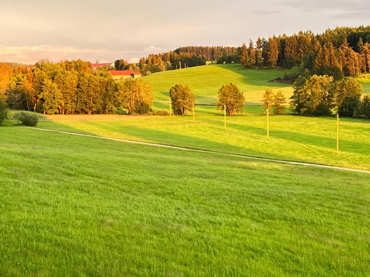 FriesenriedFerienhaus Am Wald公寓 外观 照片