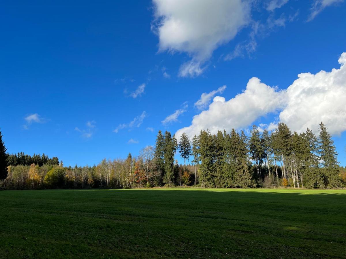 FriesenriedFerienhaus Am Wald公寓 外观 照片