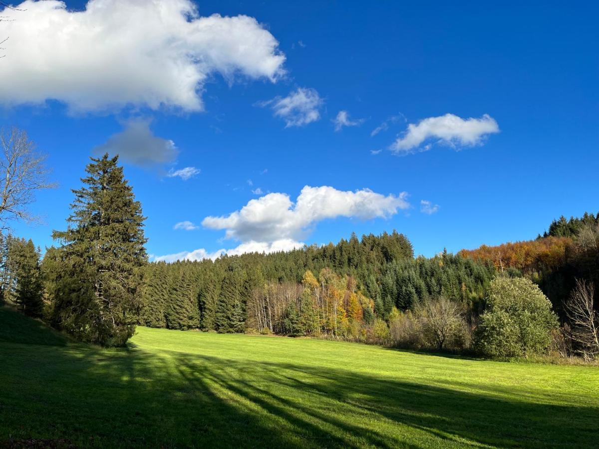 FriesenriedFerienhaus Am Wald公寓 外观 照片