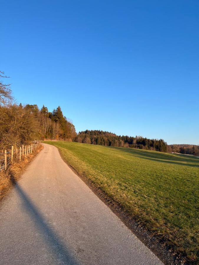 FriesenriedFerienhaus Am Wald公寓 外观 照片