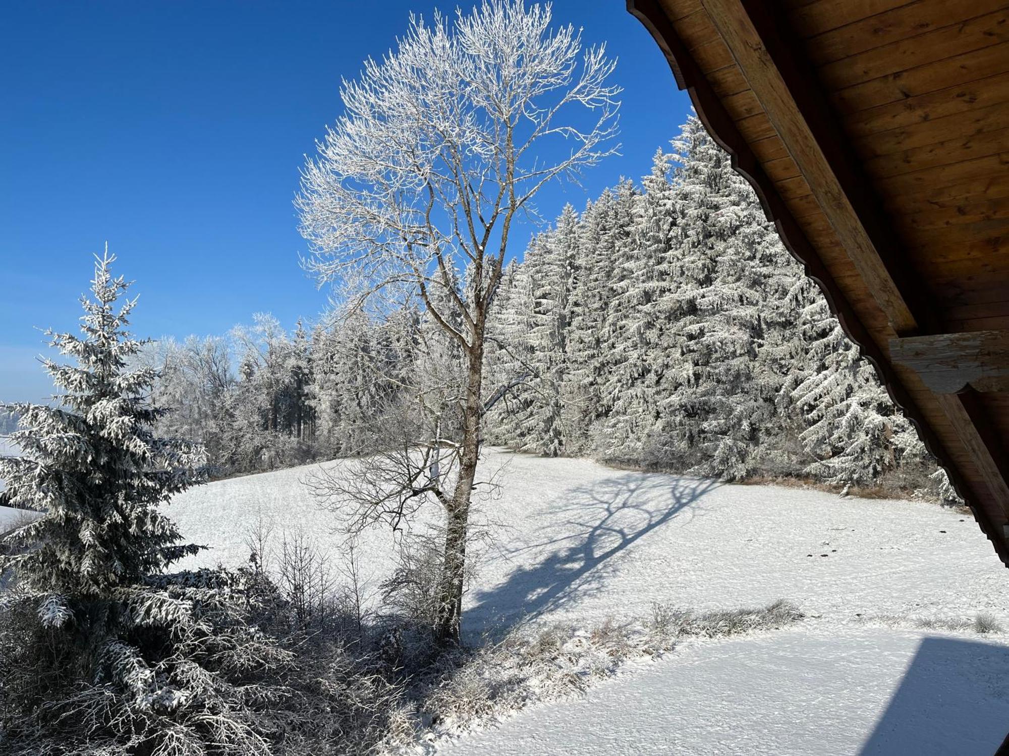 FriesenriedFerienhaus Am Wald公寓 外观 照片